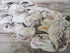 purple and white natural oyster shells for beach decor, wedding decoration, coastal decor